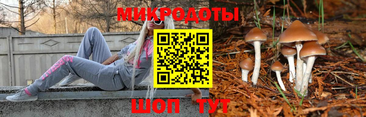Нурлат  Галлюциногенные грибы мухоморы  Вход с VPN 