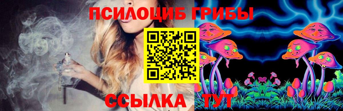 Псилоцибиновые грибы Psilocybine cubensis Нурлат